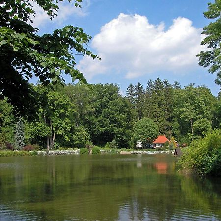 Rezkakas Fogado Bed & Breakfast Zirc Eksteriør bilde