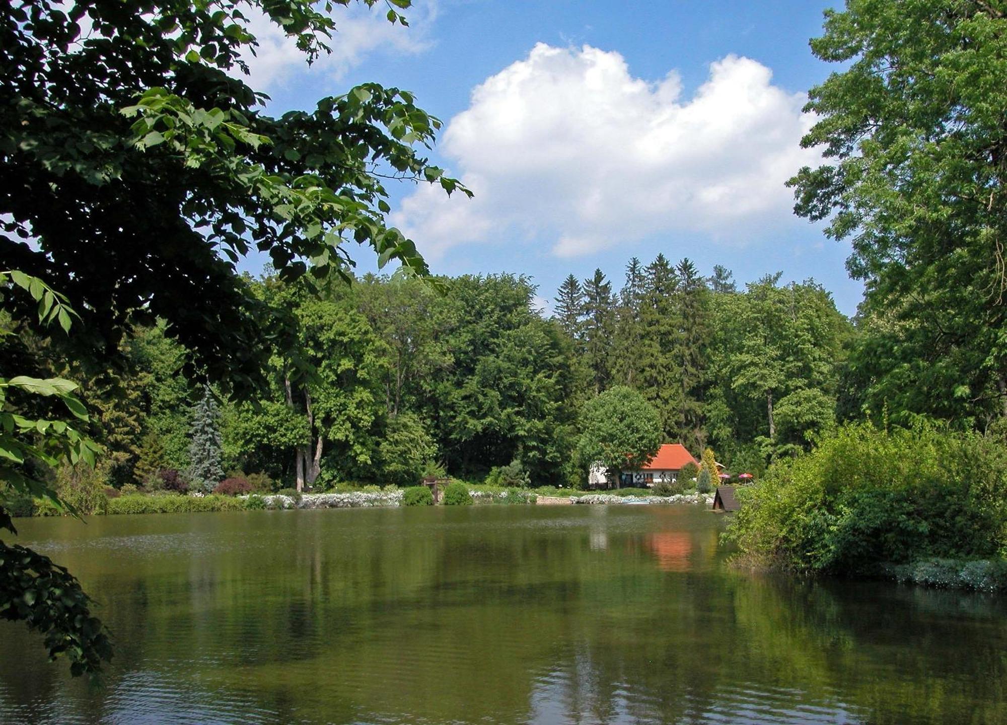 Rezkakas Fogado Bed & Breakfast Zirc Eksteriør bilde